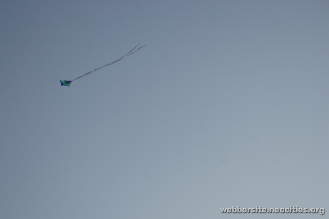 Lone Flyer
